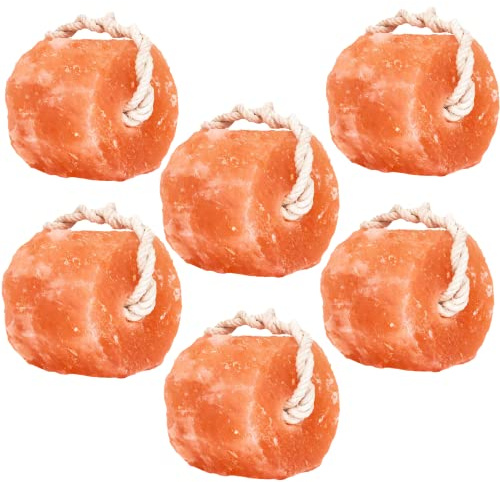 Glowyn Himalayan Salt Lick-Natural Minerals Block on Rope - 4.0 lbs. (6 Packs) - Great for Horses, Cattle, and Live Stock– Long Lasting – Pink Salt Lick