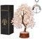 Árbol de dinero, cuarzo de rosa, piedra de cuarzo de rosa, gemas, piedras de chakra, piedras de curación, árbol de bonsai, dones espirituales, decoración del árbol de la vida