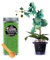 LiveLaif ®- 500 gr Abono granulado mineral NPK | Abono orquideas | Abono plantas flores | Abono de Liberacion lenta | Abono floracion | NPK Abono |Bote PVC con tapa rosca metal (500 gr)