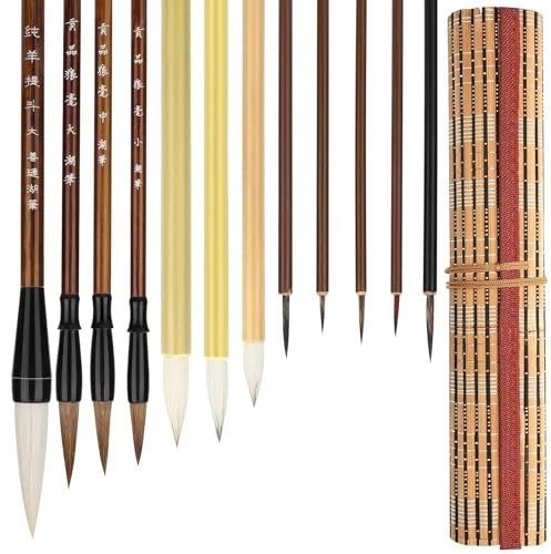 EEEKit Pinceaux de Calligraphie Chinoise, Stylo Calligraphie, Pinceau Kanji Sumi Japonais de Taille Mixte pour éTudiant Débutant, 12 Pièces