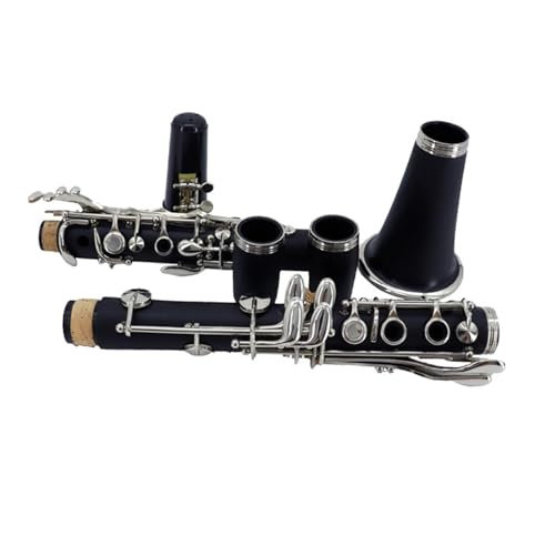 ZAMASS Klarinetten-Set B-Klarinette Anfänger Übung Einsteiger Einstieg Profi Instrument