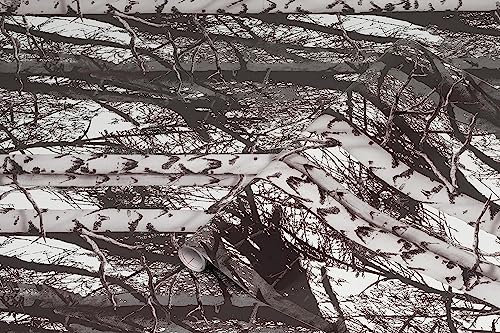 d-c-fix vinyl wrap Wood trendyline patterned 45 cm x 1,5 m - sticky back plastic roll for furniture, kitchen & cupboards - contact paper sticker self adhesive film