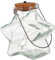 Gadpiparty Flasche wünschen Kronleuchter Hängelampe beleuchtete Baumgirlande hängendes Lichtdekor Sonnenlicht schmücken Glas hängende Lichter Mason Can Solarlampe draussen Einmachglas Rasen