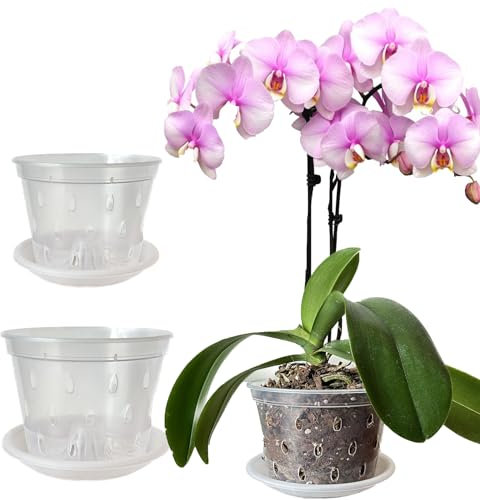 Mesoar Vasi per orchidee da 14 cm e 17 cm, in plastica trasparente, con fori e piattini, per piante e vivai, per rinvaso di orchidee per uso interno ed esterno (6, 3 da 14 cm, 17 cm con sacuri)