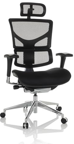 hjh OFFICE Silla de Oficina Profesional Ergo-U2 FM Silla giratoria ergonómica de Tela, Apoyo Lumbar Flexible, Respaldo Regulable en Altura, Respaldo de Rejilla Negro 651100