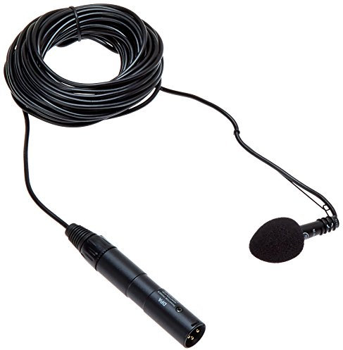 AKG Pro Audio CHM99 Hanging Cardioid Condenser Microphone for Speech or Music in House of Workship, Conference Room and Theater Stages - Black (2965H00150)
