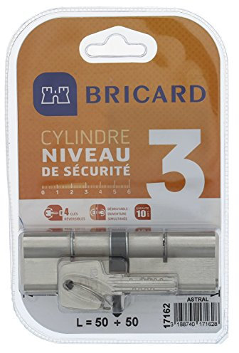 Bricard 17162 Cylindre débrayable Astral 2, 9 en Laiton Nickelé 10 Pistons, 2 entrées 50+50, Protection contre le perçage et Le Crochetage. Carte personnelle., Acier Nickelé, 100 = 50+50