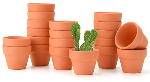 T4U 5CM Terracotta Plant Pots 20-Pack, Mini Clay Pot with Drainage for Tiny Plant Cactus Lithop, Small Red Succulent Plant Pot Nursery Planter for DIY Hand Craft Decoration Garden Gift