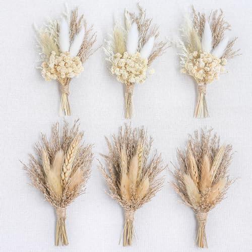 Mini bouquet di fiori secchi (confezione da 6), bouquet di fiori secchi per centrotavola da tavola per matrimoni bohémien, erba della pampa essiccata, bouquet, fiori secchi per torta (grigio)