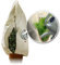 Bio Green Premium Kübelpflanzensack Window XXL | 180 x 120cm | Frostschutz & Winterschutz | Schutzhülle Kübelpflanzen +Sichtfenster | Pflanzenschutz