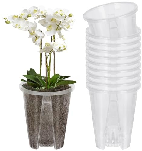 Mineup 10 vasi per orchidee trasparenti, 10 cm, in plastica trasparente, con fori, per orchidee e orchidee con scanalature, per orchidee e piante grasse