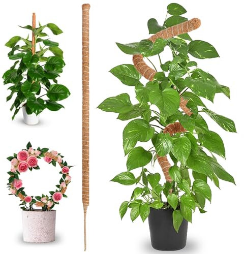 Bastone per Piante - Palo di Muschio - Bastone di Muschio - Supporto Flessibile 70 cm in Fibra di Cocco - Ideale per Monstera e Piante Rampicanti d’Interni con Bastoni di Muschio Fatto a Mano