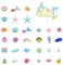LSYYSL 30 Pieces Of Ocean Theme Cake Accessories And 1 Piece Of Cake Insert, Cake Decorations, Cute Cake Decoration, Dessert Baking Insert