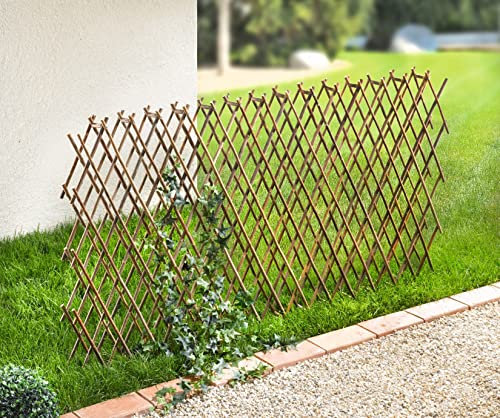 Dekoleidenschaft Weidenzaun Ziehharmonika variabel, Rankgitter aus Weide, Beeteinfassung flexibel, Beetbegrenzung ausziehbar, Holz Rankhilfe, Beetzaun, Gitterzaun, Rankzaun, Garten-Deko