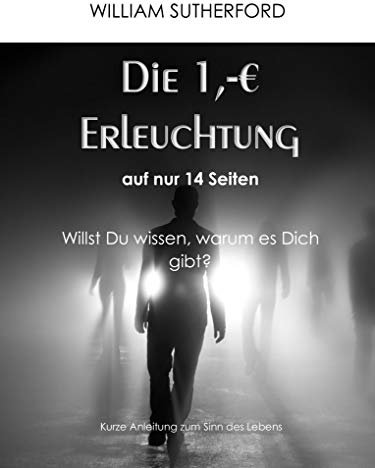 Die 1 Euro Erleuchtung auf nur 14 Seiten: Willst Du wirklich wissen, warum es Dich gibt? (Inkarnation 2.0)
