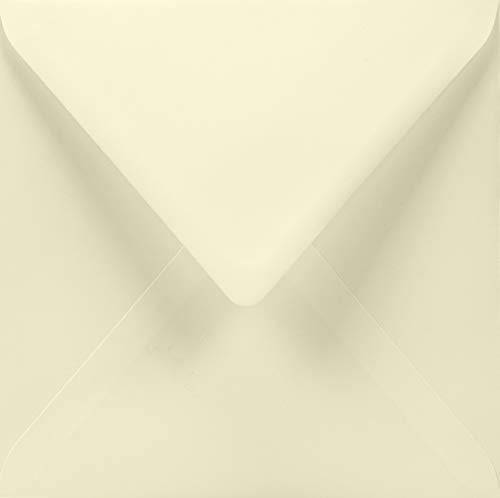 Netuno 100 quadratische Briefumschläge Elfenbein 15,5 x 15,5 cm 100g Lessebo Smooth Ivory Umschläge quadratisch 15 cm ohne Fenster für Einladungskarten Geburtstagskarten Glückwunschkarten Briefe