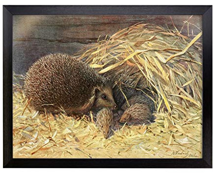 Lap Tray with Cushion | Vintage Walter Heubach Hedgehogs | Padded Bean Bag Cushion | For Eating, Working, Crafting, Laptop | Portable Table Desk