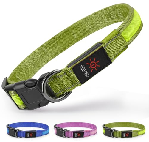 Ezierfy Leuchthalsband Hund - Leuchtendes Hundehalsband Aufladbar LED Hundehalsband Wasserdichtes Einstellbare Hunde Halsband für Kleine Mittlere Große Hunde (Grün, Klein)