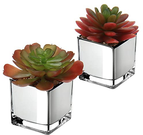 2 plantas suculentas artificiales decorativas en maceta de cristal, para cuarto de baño, balcón, dormitorio, salón, escritorio, decoración