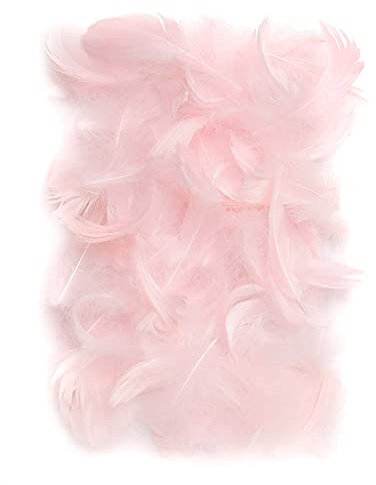 Netuno 150 Stück Deko Federn Rosa 10g Flaumfedern farbige Schmuckfedern Vogelfedern Bastelfedern Natur für DIY Basteln Dekoration Ostern Weihnachten Dekofigur
