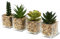 ALANGDUO 4 Planta Suculentas Artificial Pequeña, Plantas Artificiales Decorativas con Maceta de Vidrio, para Hogar, Jardín, Oficina, Balcón, Ventana, Escritorio, Decoración de Habitación