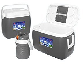 WEBMARKETPOINT Bestway Nevera 3 de septiembre en 1 con 2 Bolsas de Hielo y Termo 2 l