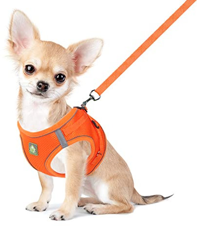 FEimaX Hundegeschirr mit Leine für Kleine Mittele Hunde Katzen Weich Mesh Welpengeschirr Atmungsaktive Brustgeschirr Verstellbare Reflektierend No Pull Weste Chihuahua Katze