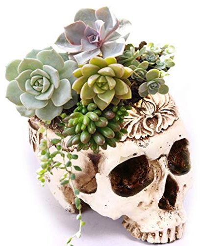 Creative Flower Pot, Resin Skull Shaped Head Design Flower Pot Planter Container Decor for Home Office Desk (A)