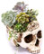 Kreativer Blumentopf, Kunstharz, Totenkopf-Design, Blumentopf, Übertopf, Behälter, Dekoration für Zuhause, Büro, Schreibtisch (A)