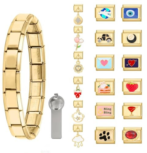 Urijk 20PCS Italian Charm Bracelet set Gold Italian Charms for Women, Assorted Charms and Opening Tools,Retro Personality Charms Bracelets Links DIY Kit Gift for Women Girls