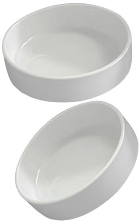 VINTORKY Keramik Untersetzer Für Blumentöpfe 2 Stück Runde Pflanzschalen Bruchfest Und Formstabil Wasserabweisender Pflanzteller Für Innen Und Außenbereich