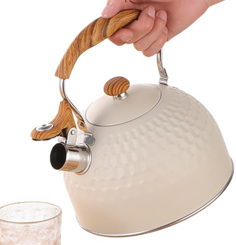 Bouilloire sifflante | Bouilloire sifflante pour tous les types de feux | Bouilloire en acier inoxydable 2,5 l pour induction, cuisine, maison, voyage