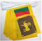 AZ FLAG - Fahnenkette Sri Lanka 6 Meter Mit 20 Flaggen - 21x14 cm - Demokratische Sozialistische Republik Sri Lanka Girlande Flaggenkette 14 x 21 Cm