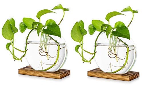 Fioriera In Vetro Da Appendere Da Tavolo Pz Di 2 Stazione Di Propagazione Vaso Moderno Con Boccioli Di Fiori In Legno Supporto Per Piante Idroponiche Talee