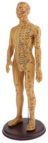 Sharplace Akupunkturpunkt Und Meridian Modell des Menschlichen Körpers Kleine Bronze Frauen Mann Modell Lernen - Männlich, Weich