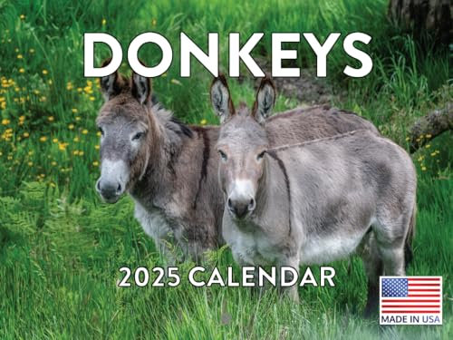 Esel 2023 Wandkalender Monatsplaner Niedlich Tier Bauernhof Natur Foto Bauernhaus Landpferd Dekor Schreiben auf Raster 24 Monate Vorschau 2022 und 2024 Made in USA