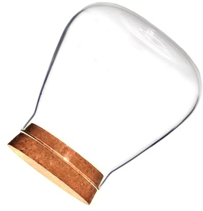 1 Stück Transparentes Terrarium Glas aus Borosilikat mit Korken