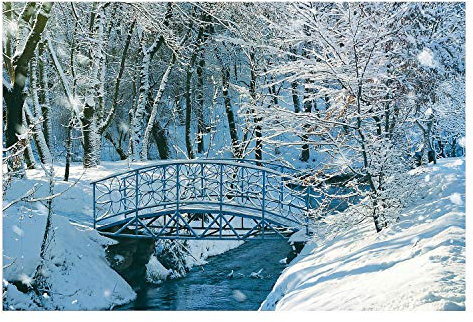 Fun Express Winter Wonderland Hintergrund Banner