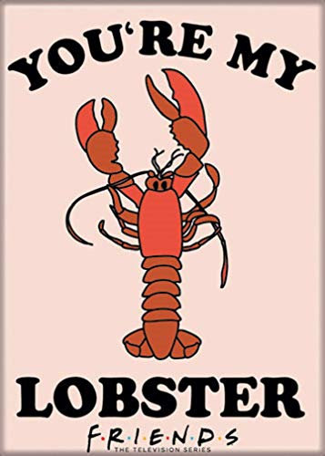 Ata-Boy Magnet – Friends You're My Lobster 6,3 x 8,9 cm Magnet für Kühlschränke, Whiteboards und Spind-Dekorationen