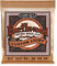 Ernie Ball Earthwood Custom Light Phosphor Bronze, Corde per chitarra acustica, Scalatura 11.5, 54