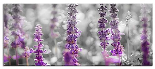 Pixxprint Glasbild Panorama, Wandbild aus Echtglas, schöne violette Lavendelblüten, 100x40 cm, inkl. Aufhängung und Abstandshalter
