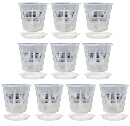 Orchid Pot Kit with 10 Clear Pots and Bases Promotes Healthy Growth for Orchids, Cacti, and Succulents (110mm)