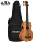 Kala U-BASS - Nomad - Low Ukulele (+ Tasche)
