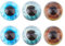 SUPERFINDINGS 3Paires 3Couleurs Yeux Assortis 30mm Yeux en Verre Yeux Demi Ronds Œil de Chat Cabochons Œil de sécurité pour Amigurumi Crochet Clay Animals Sculptures Props Jewelry Making