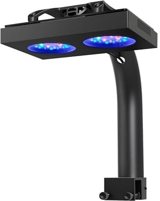 NICREW HyperReef 100 Gen 2 Illuminazione LED per acquario marino da 100W ideale per coralli SPS/LPS e pesci d'acqua salata con spettro potenziato blu viola lente e 5 canali programmabili