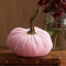 Deko Kürbis Samt Samtstoff Handgemachte Samt Kürbisse Deko Super Weicher Gefüllter Kürbis mit Exquisiten Bloggerstyle neu ca. 15 cm (Rosa)