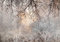decomonkey Fototapete Baum 400x280 cm Tapete Fototapeten Vlies Tapeten Vliestapete Wandtapete moderne Wand Wandbild Schlafzimmer Wohnzimmer Steinwand Pflanzen Beton Grau Braun
