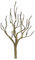 JTT Scenery Products Armaduras profesionales para árboles: de hoja caduca, 5 cm