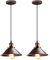 iDEGU 2 Piezas Lámparas Colgantes Vintage, 22CM Lámparas de Techo Retro de Metal Estilo Edison Industrial E27 Iluminación Luz de Techo Colgante para Comedor Cocina Salón Bar Restaurante (2x Óxido)