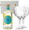 MALFY GIN LIMONE 41% Vol 700 ml - Due Bicchieri In Vetro Borgonovo 620 ml